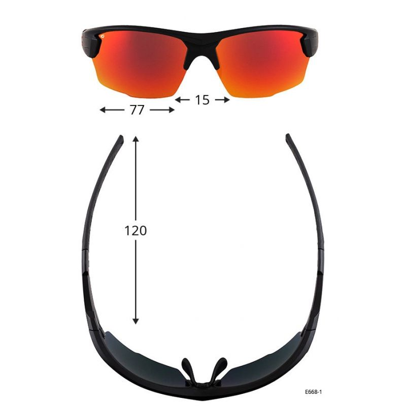 Cycling glasses FALCON C E668