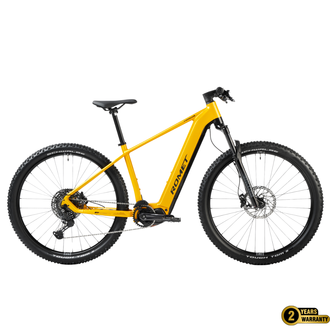 Electric Mountain Bike