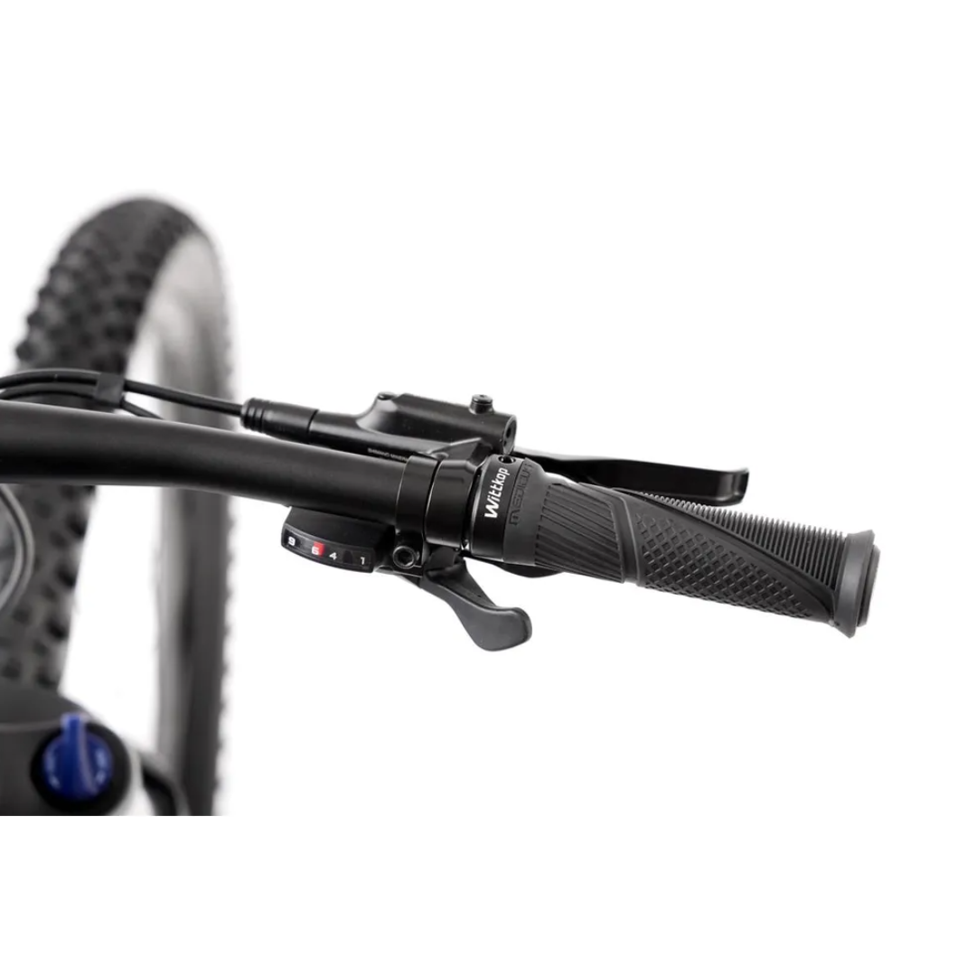 RometE-bikeE-RAMBLER2.0