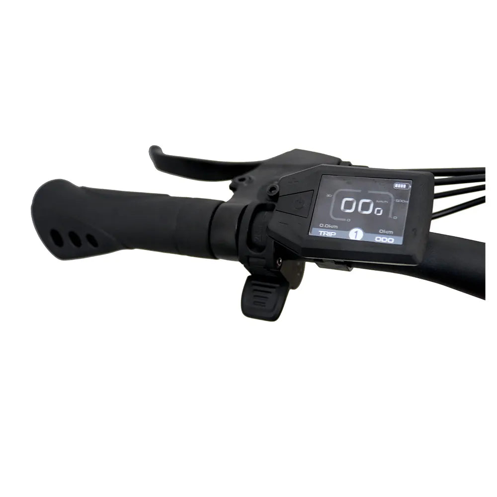 Reebok Electric Bike Reebok 250 W 13000 MAh 29inch - Rider Smarts